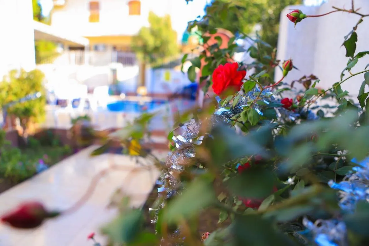 Luxor Oasis Guest House